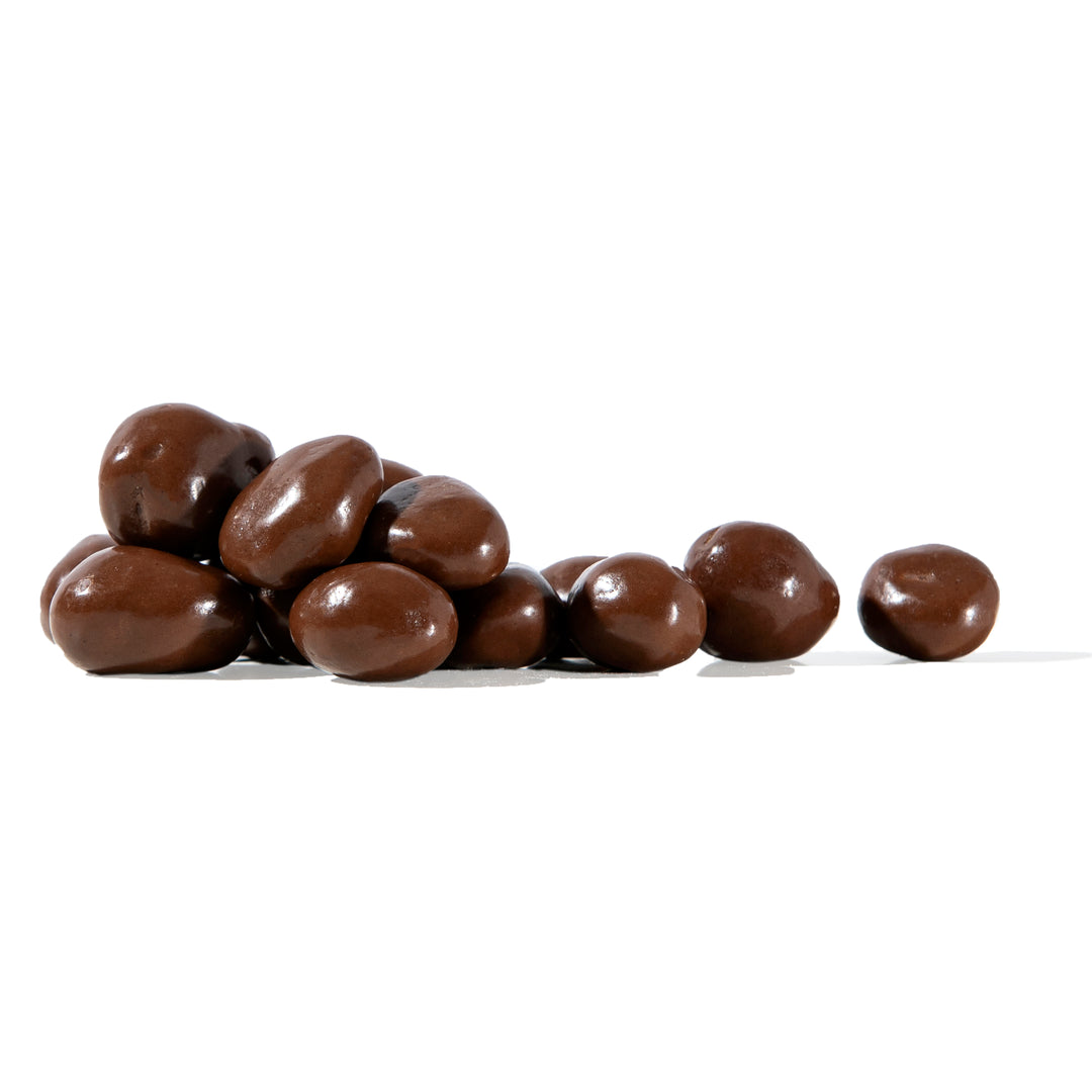 Chocolate Raisins (5oz)